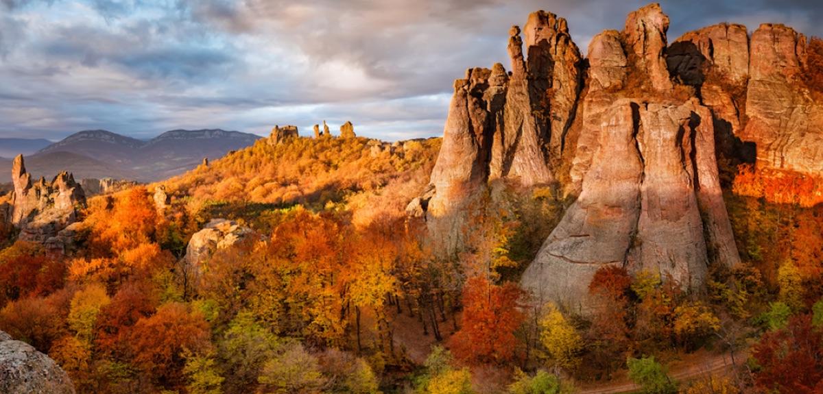 teach in bulgaria