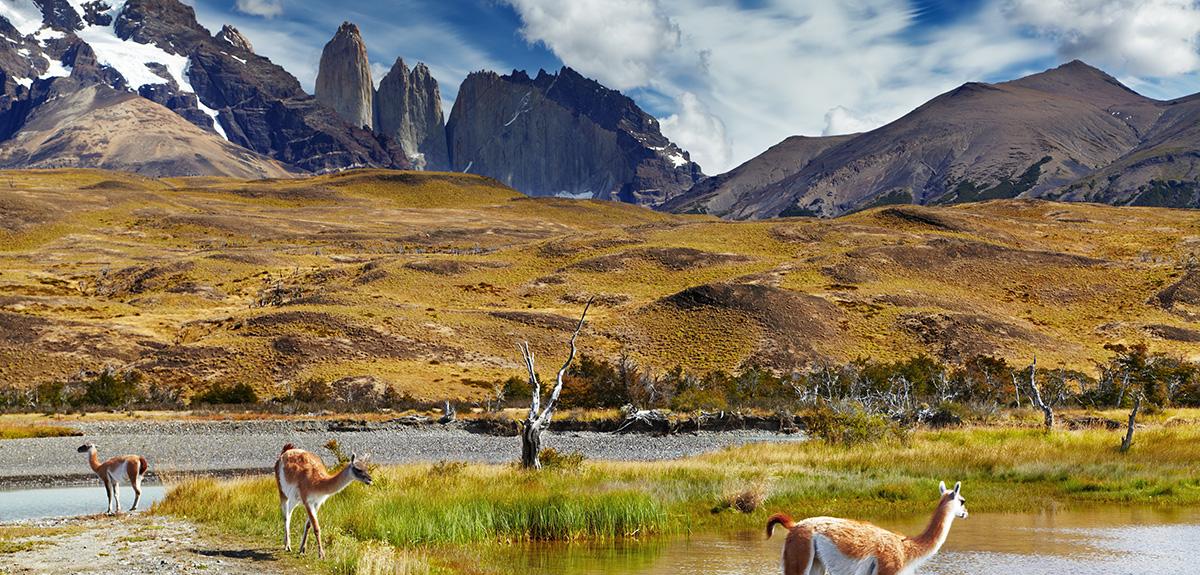 Chilean Regions and Cities Chilean Regions and Cities