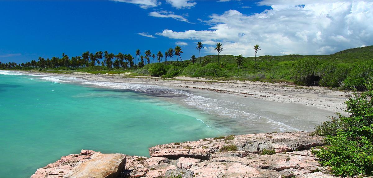 Teach in Puerto Rico