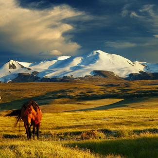 Teach in Mongolia