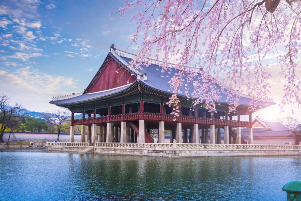 teach english korea public school