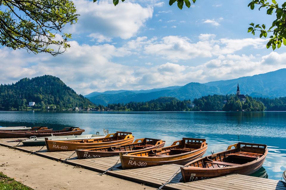 teach in slovenia