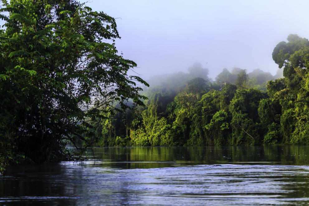 living in suriname